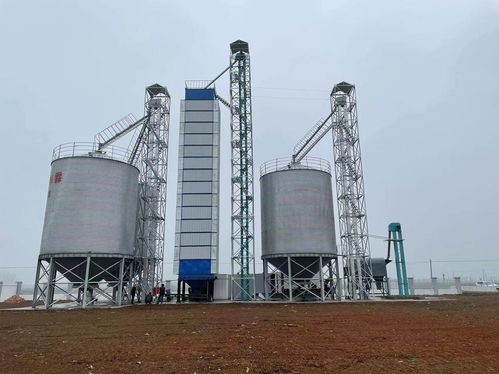 河南中瑞糧油機(jī)械詳述 面粉加工工藝流程與關(guān)鍵設(shè)備解析，兼論石化電力設(shè)備聯(lián)動