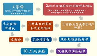 優(yōu)寧維公司隆重推出專業(yè)抗體相關(guān)實驗技術(shù)服務(wù)，賦能生命科學研究